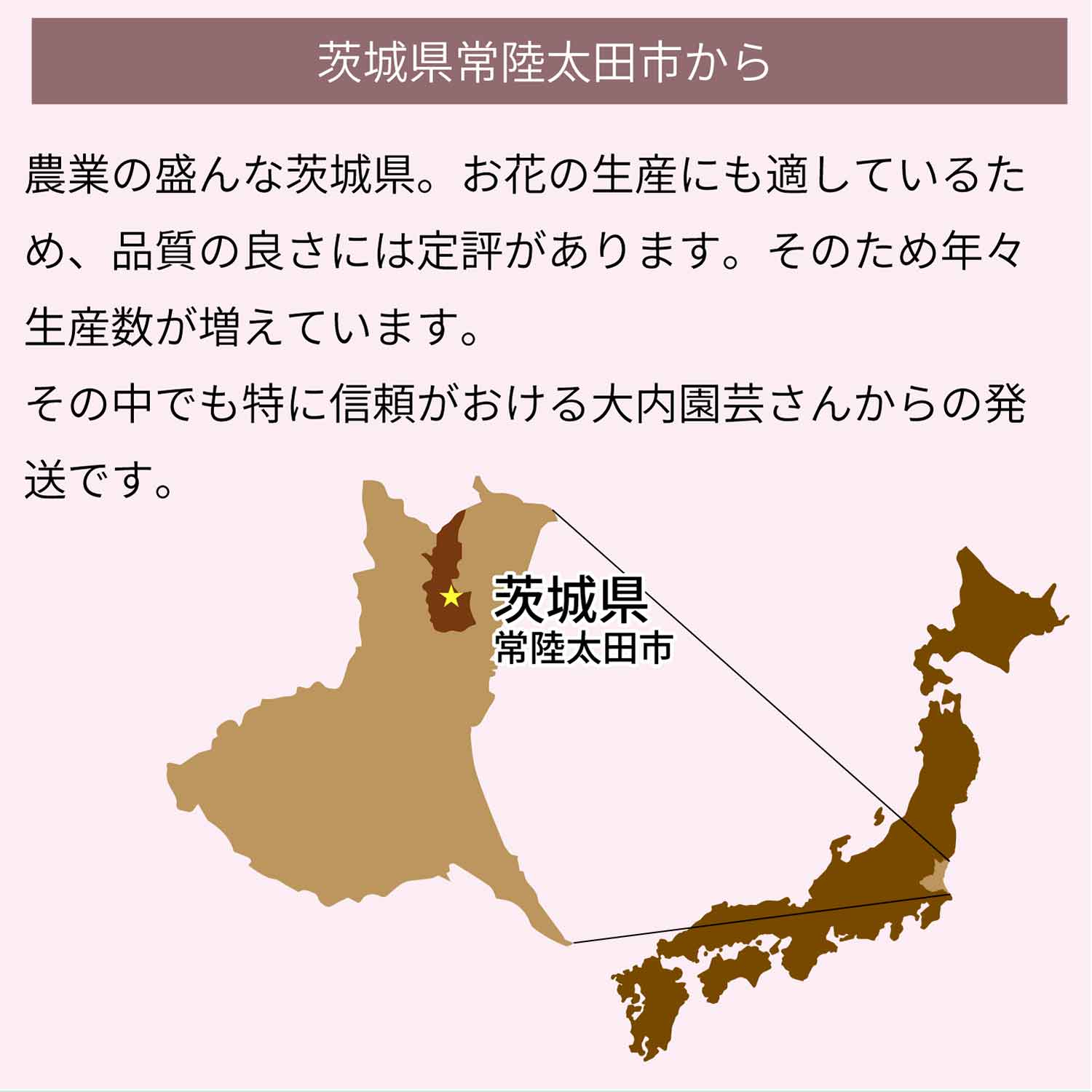 茨城県常陸太田市から発送