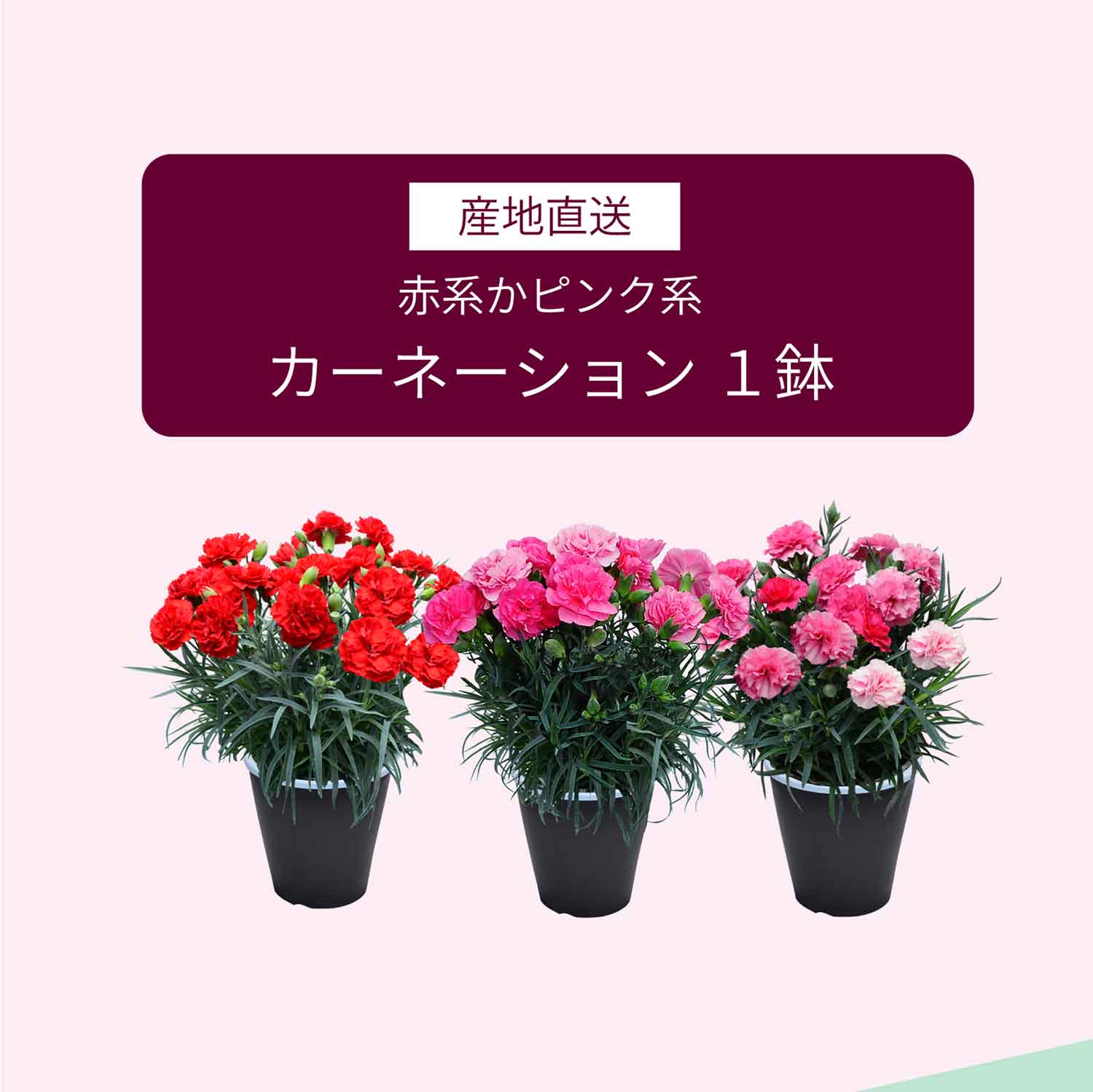 花とお酒のセット