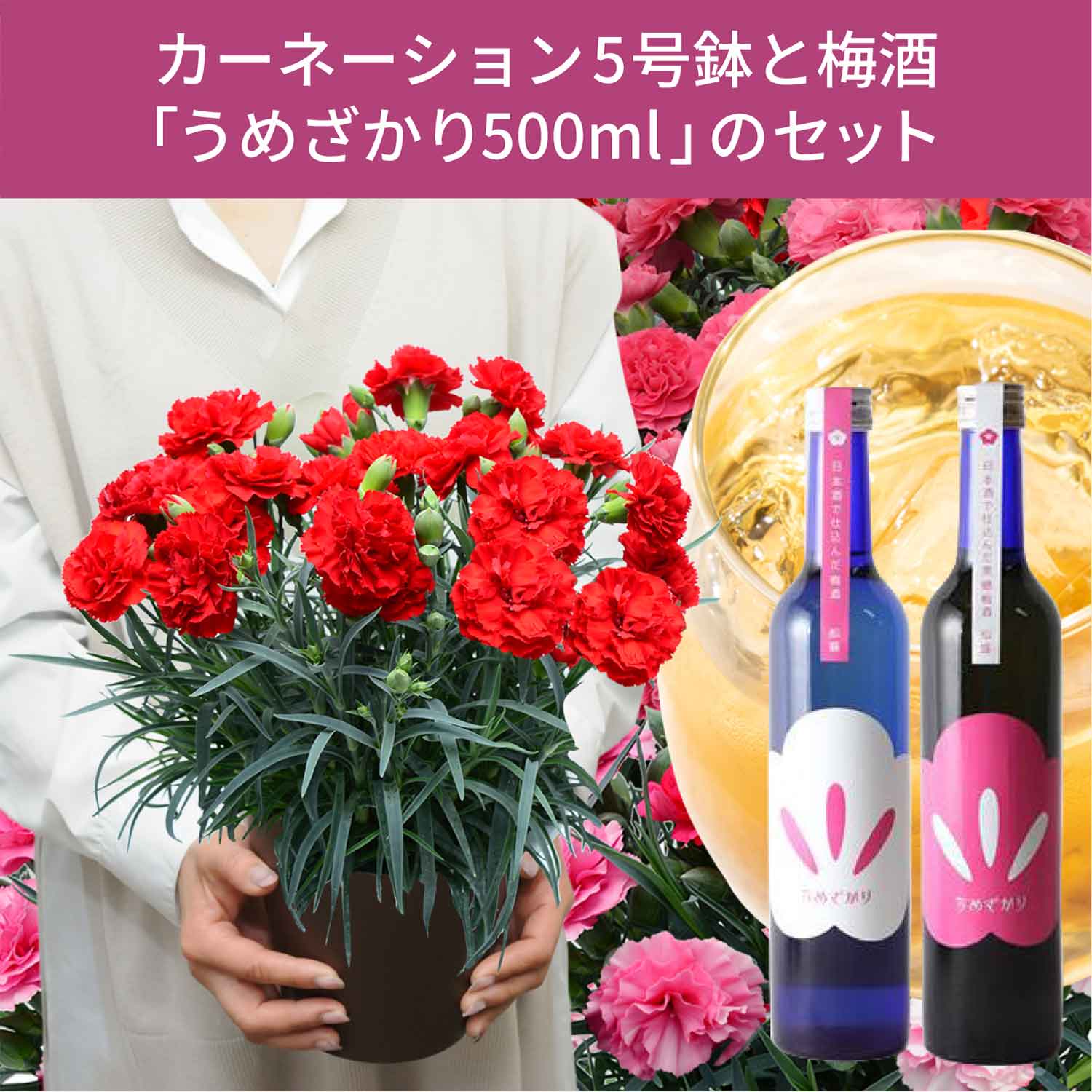 カーネーションと梅酒のセット