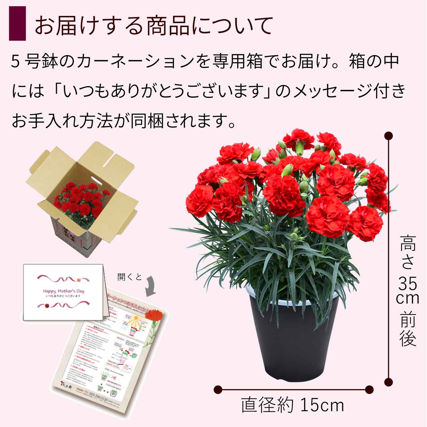 カーネーションの詳細
