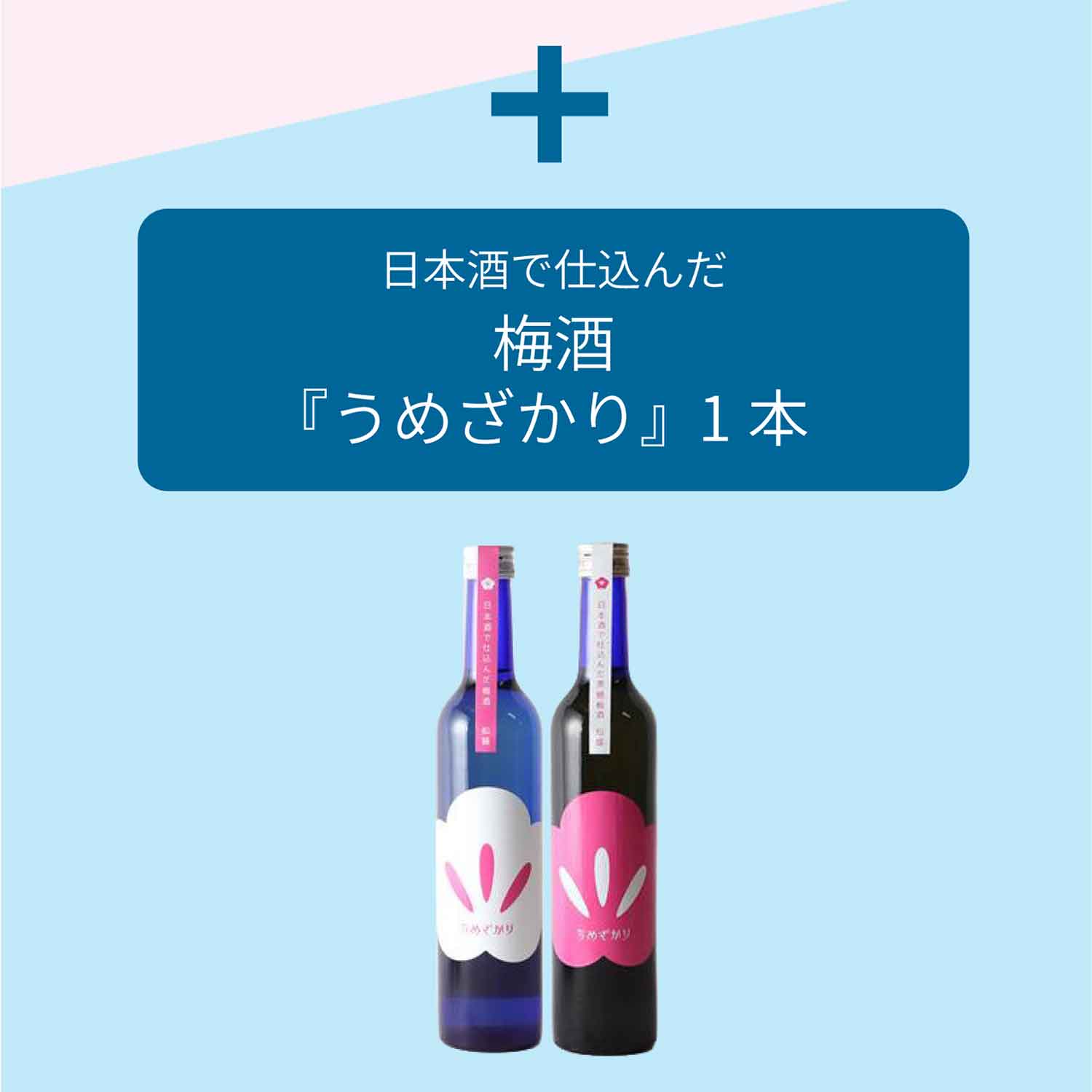 カーネーションと梅酒のセット