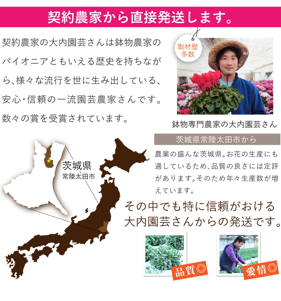 契約農家から発送
