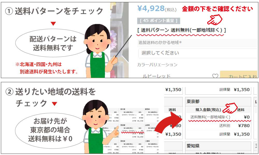 追加オプション】 カスミ草（かすみ草） 花束などへの追加用 これ単体での発送はできません | 花工房エーデルワイス