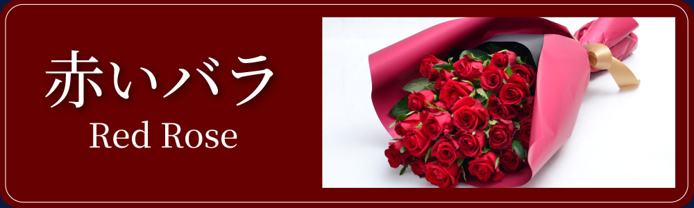 赤いバラ