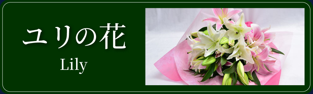 ユリ