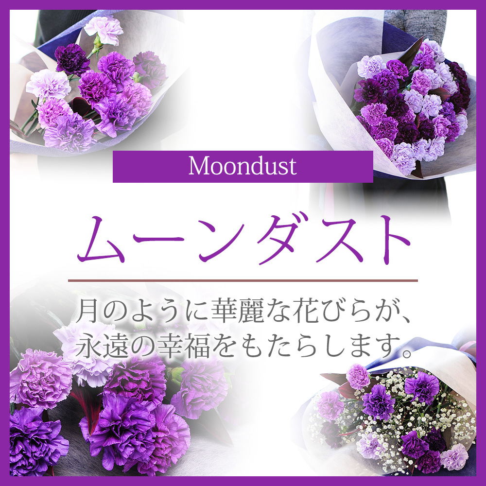 ムーンダスト
