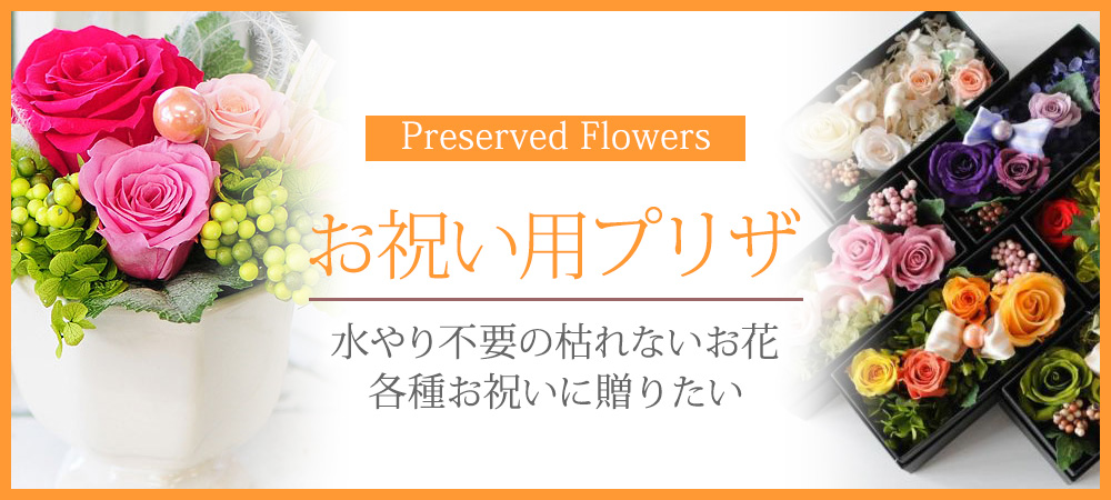 プリザ