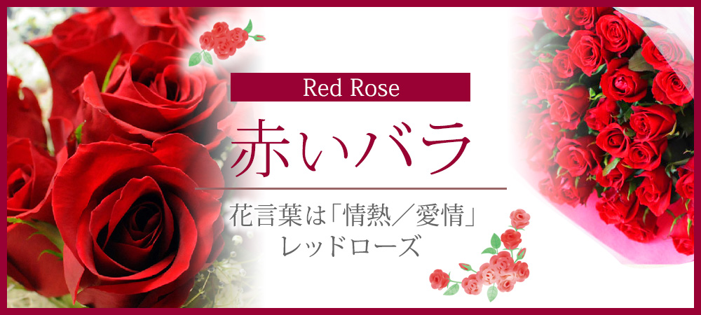 赤いバラ