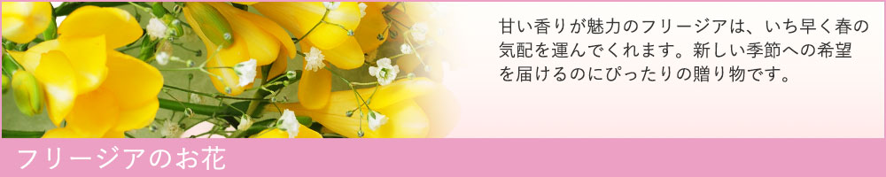 フリージアのお花