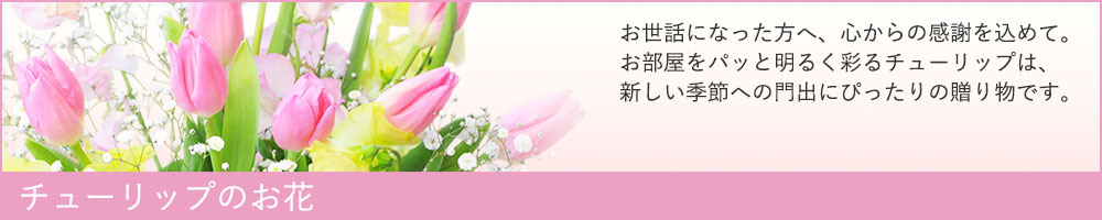 チューリップのお花