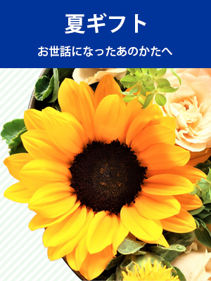 夏ギフト