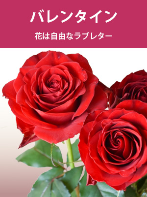 バレンタイン