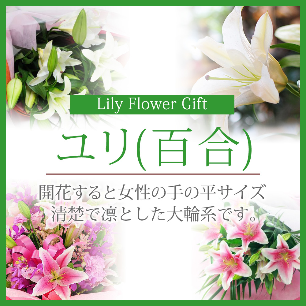 ユリの花贈り