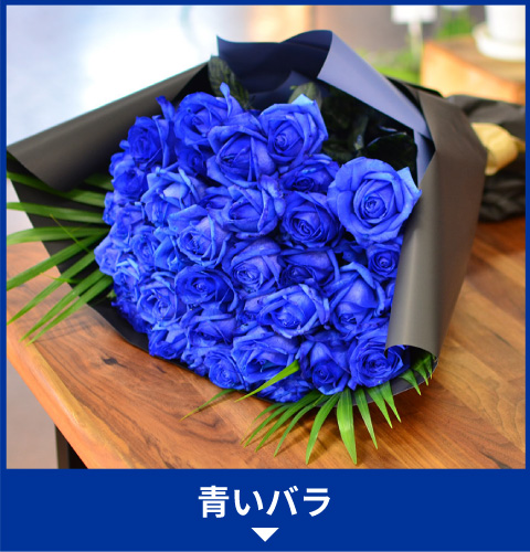 青いバラ