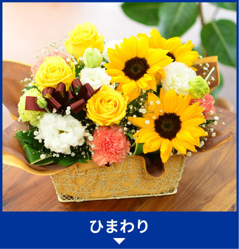 ひまわり