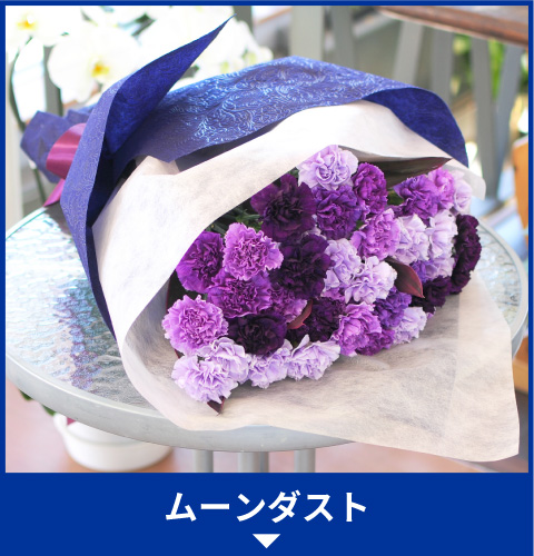 ムーンダスト