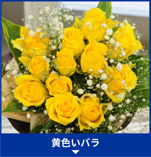 黄色いバラ