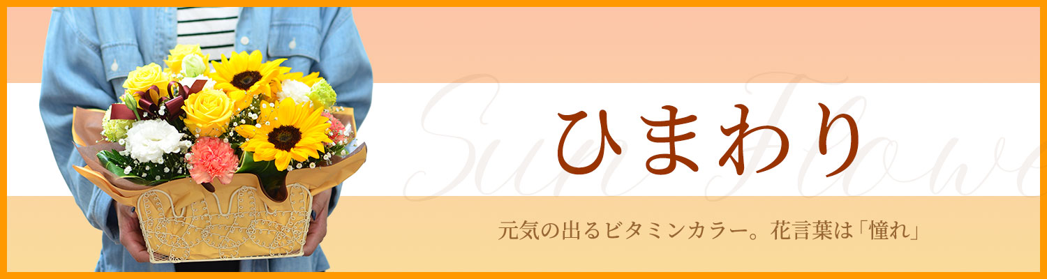 ひまわり