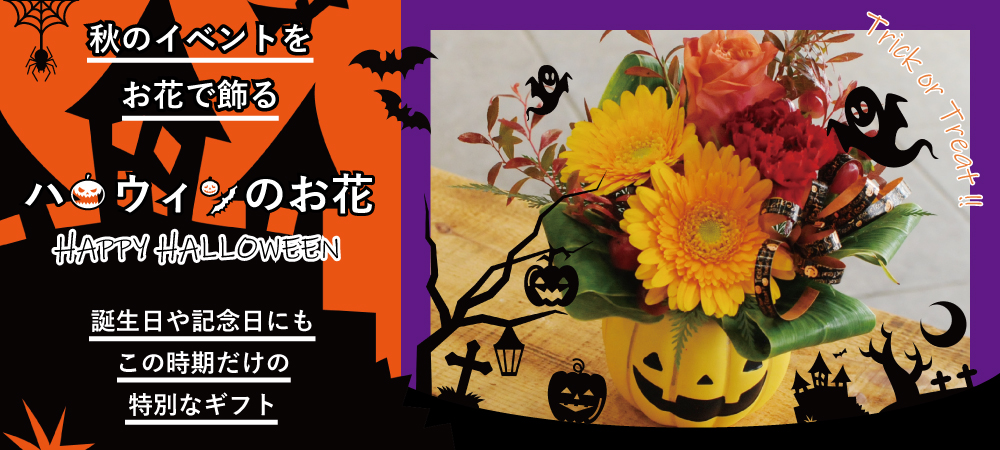 秋の花贈り/ハロウィンの花