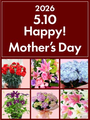 母の日