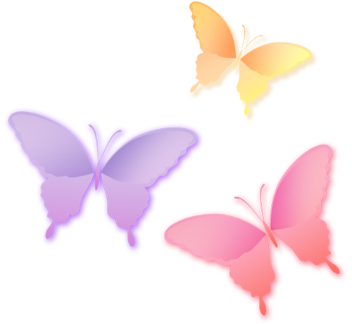 日本では、胡蝶蘭の見た目は「蝶が舞っている」ように見えたから、と言われています。
