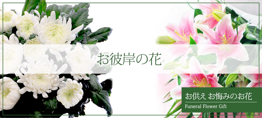 お彼岸の花