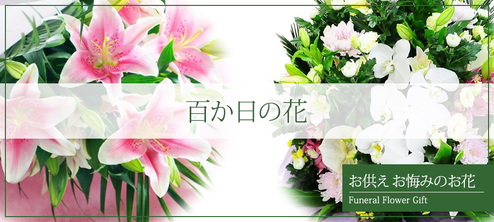 百か日の花