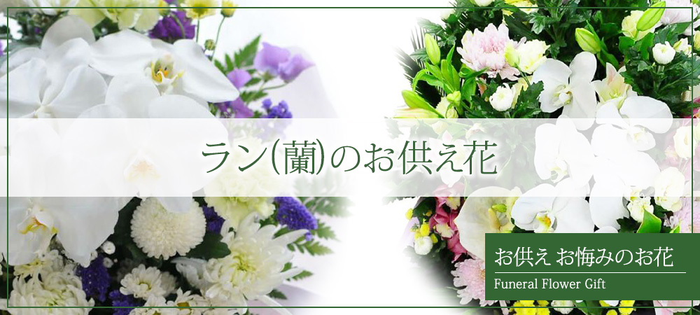 蘭のお供え花