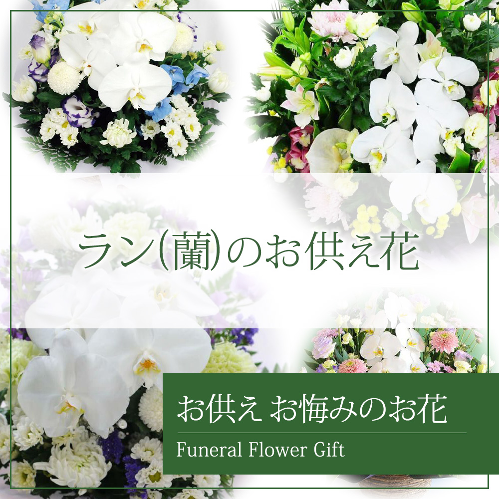 蘭のお供え花