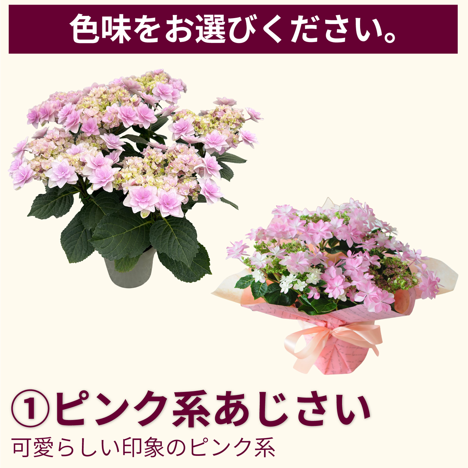 ピンク系