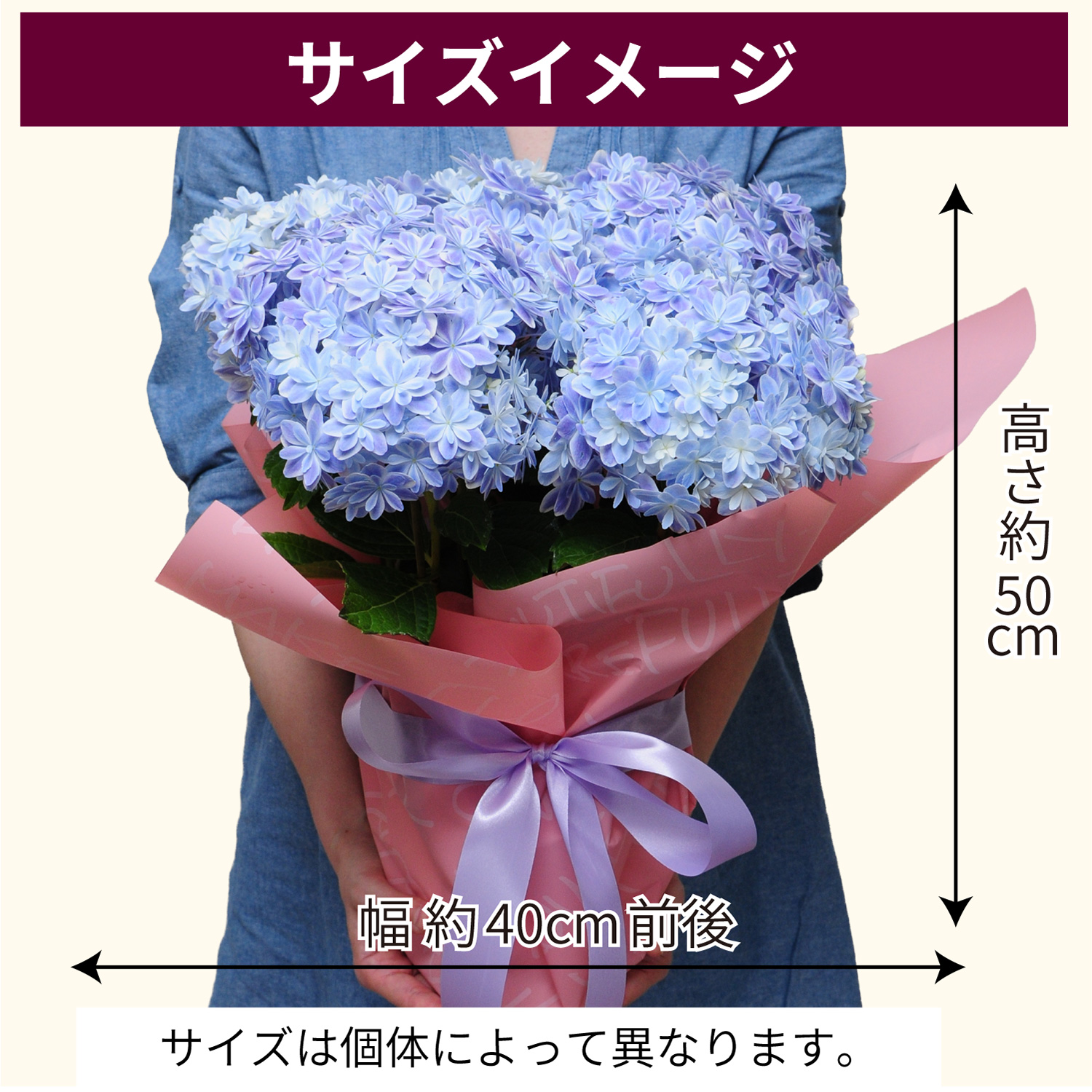 サイズイメージ