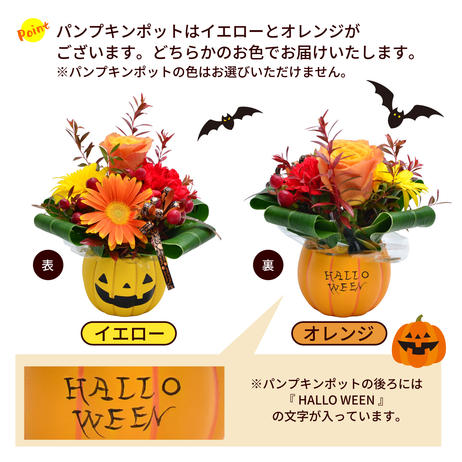 ポットの色について