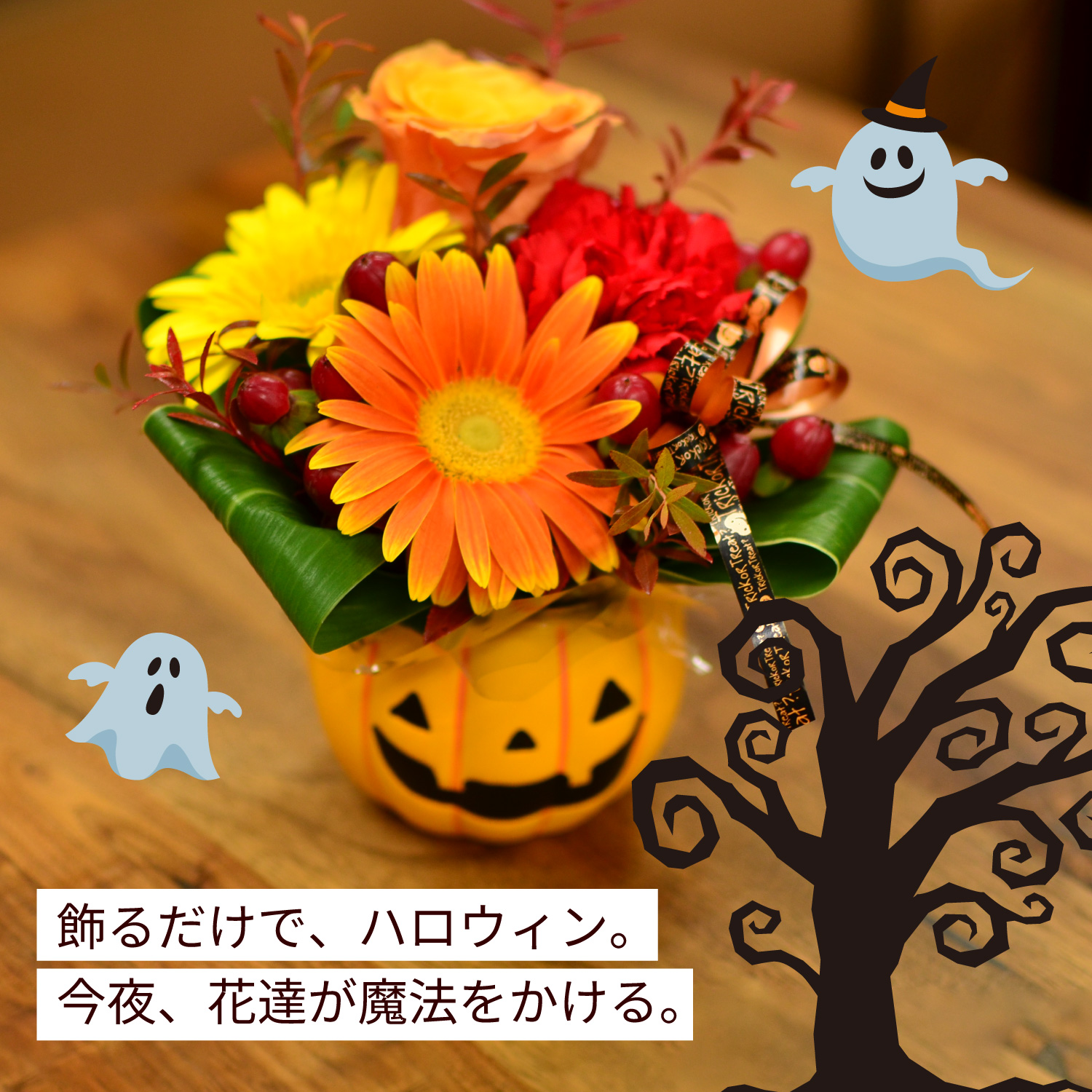 イメージ画像