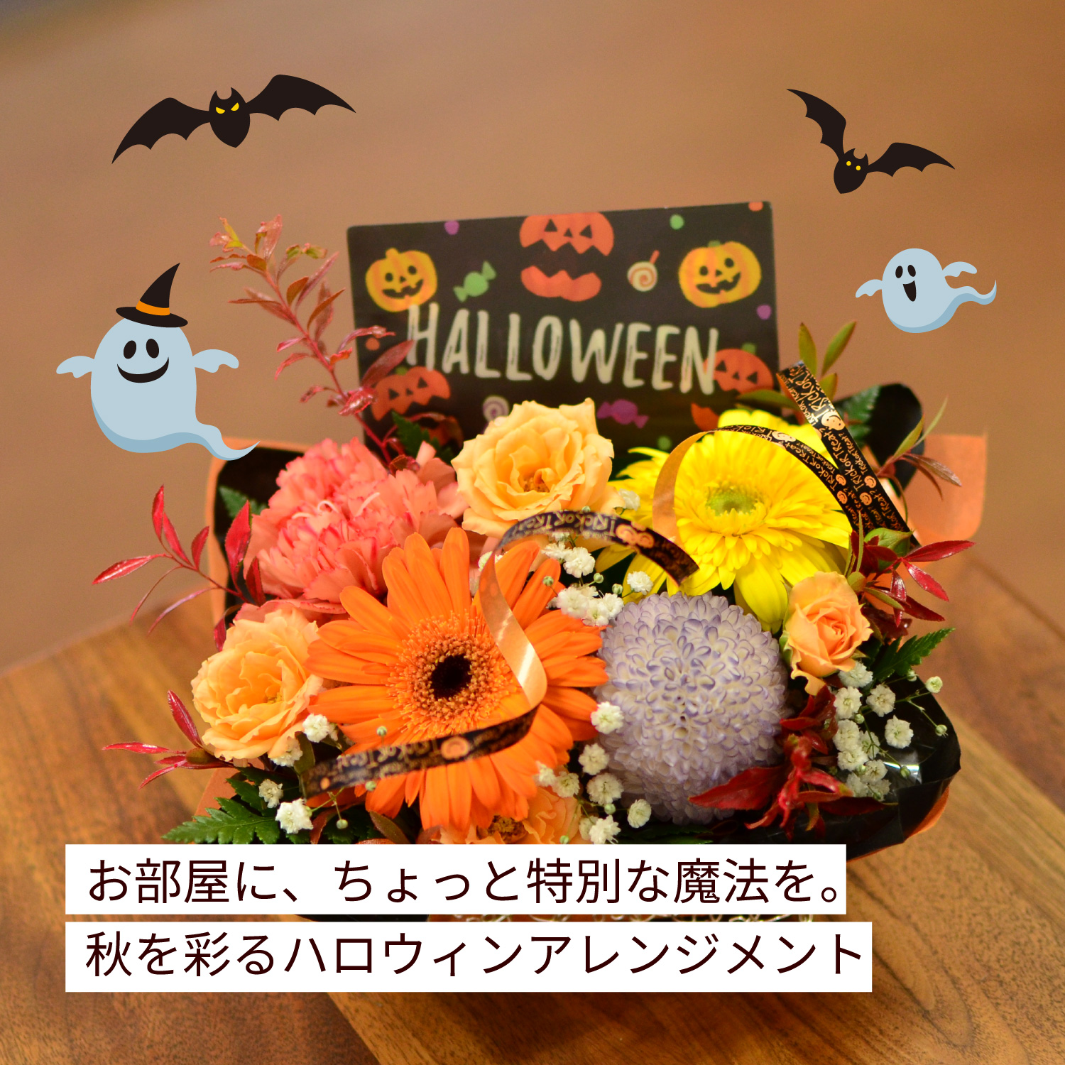 イメージ画像