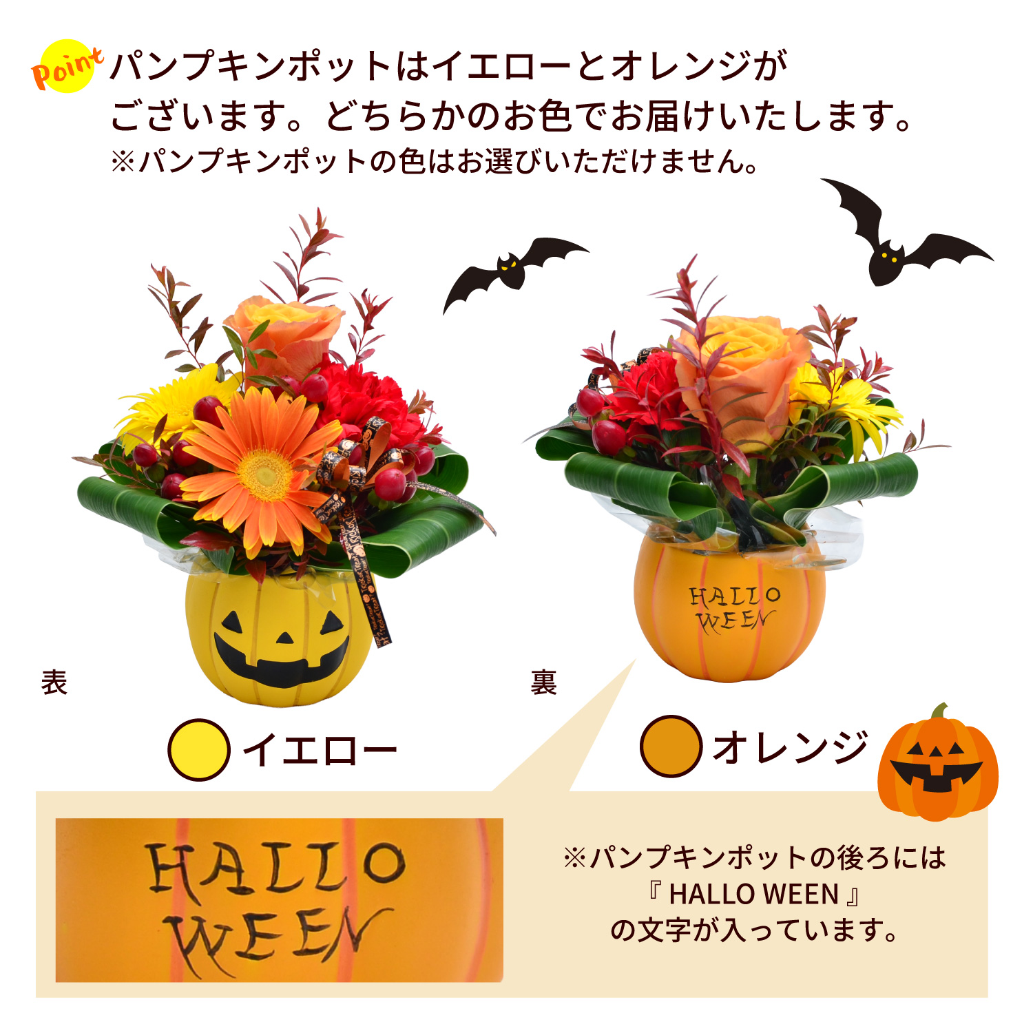 ポットの色について