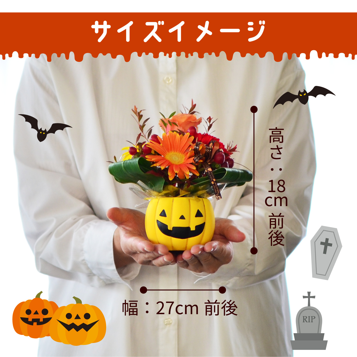 サイズイメージ