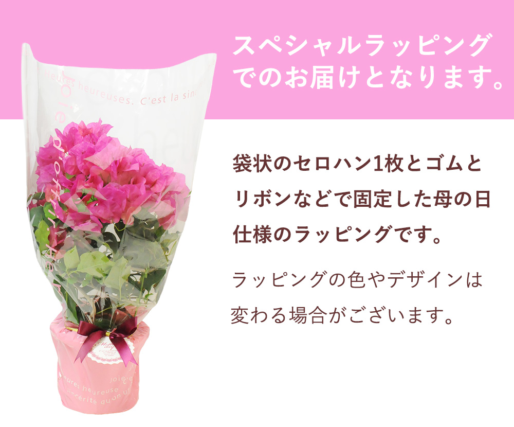 母の日ラッピング