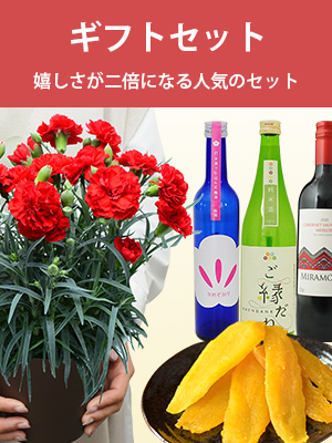 ギフトセット