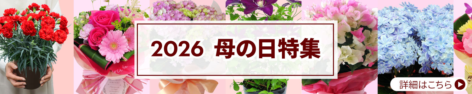 母の日特集2026