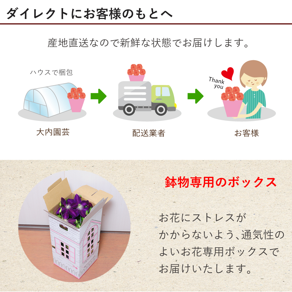 産地直送