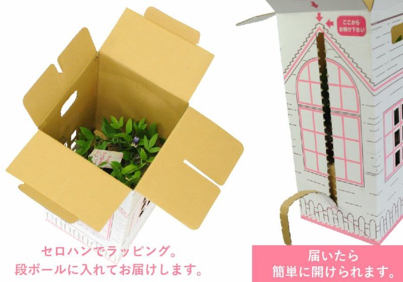 梱包イメージ