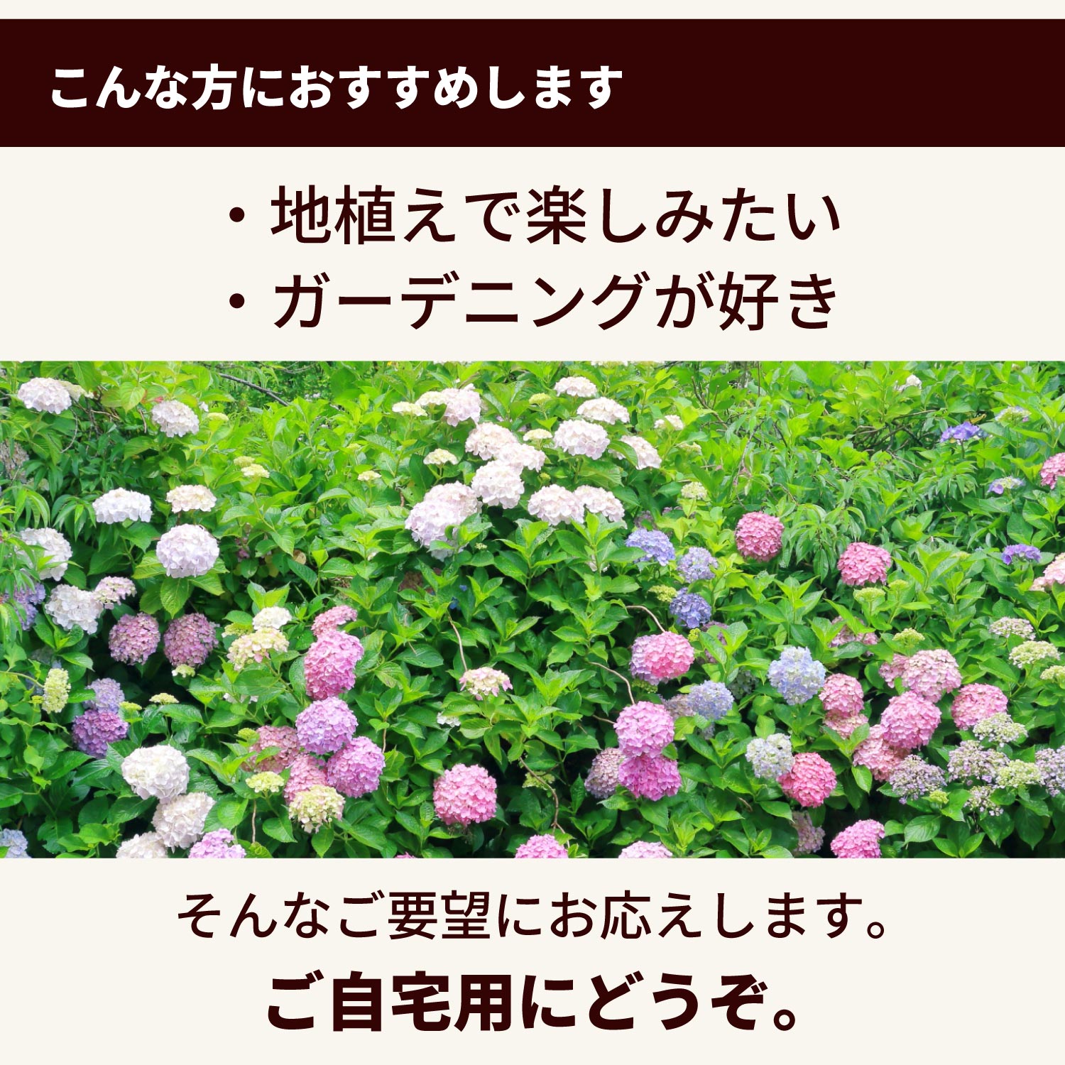 ガーデニング好きな方へ