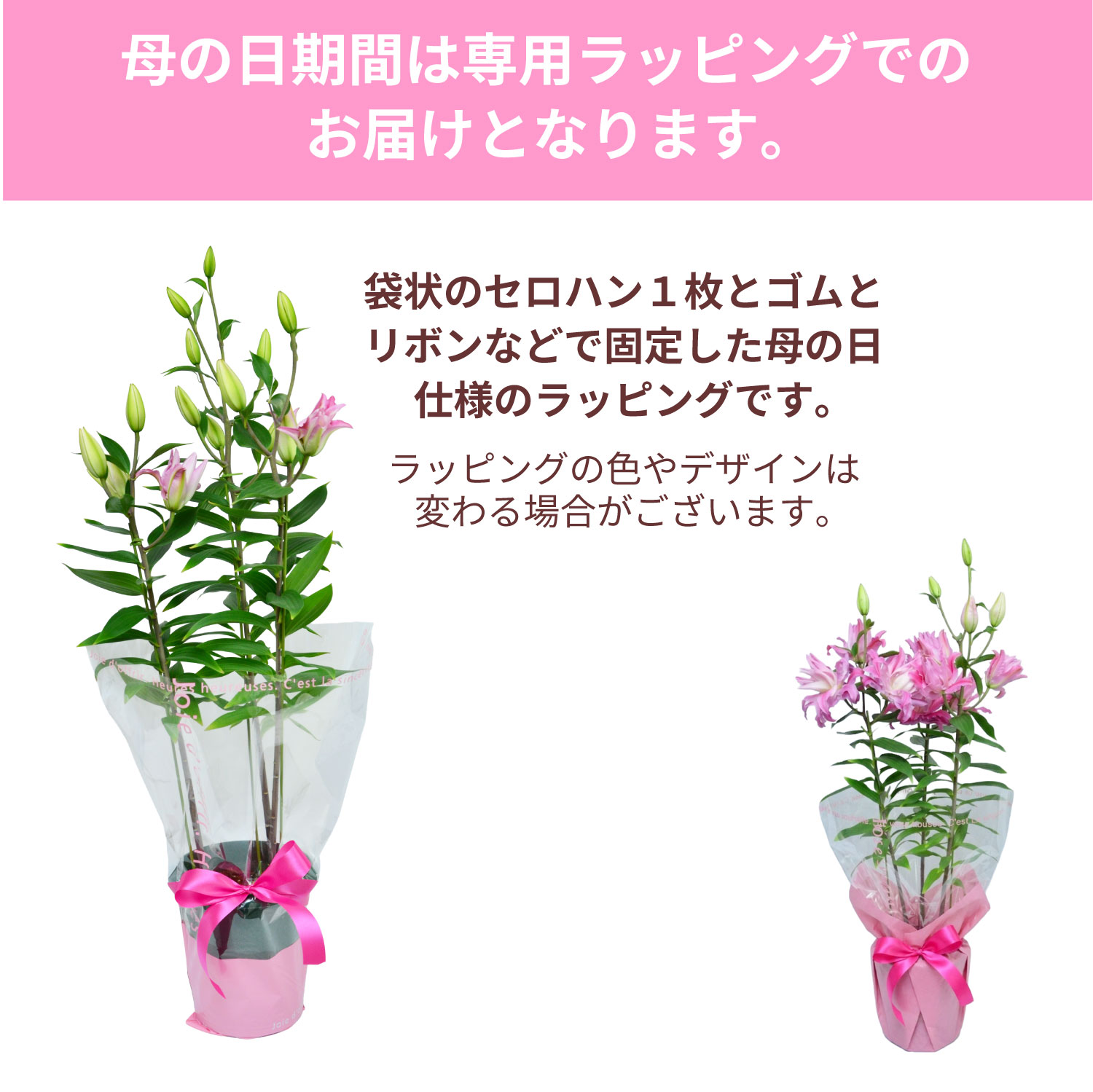 カダンゴ八重ユリラッピング