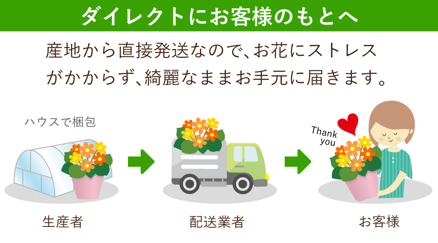 産直