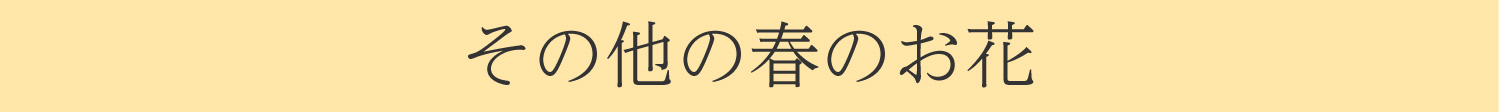 その他の春のお花