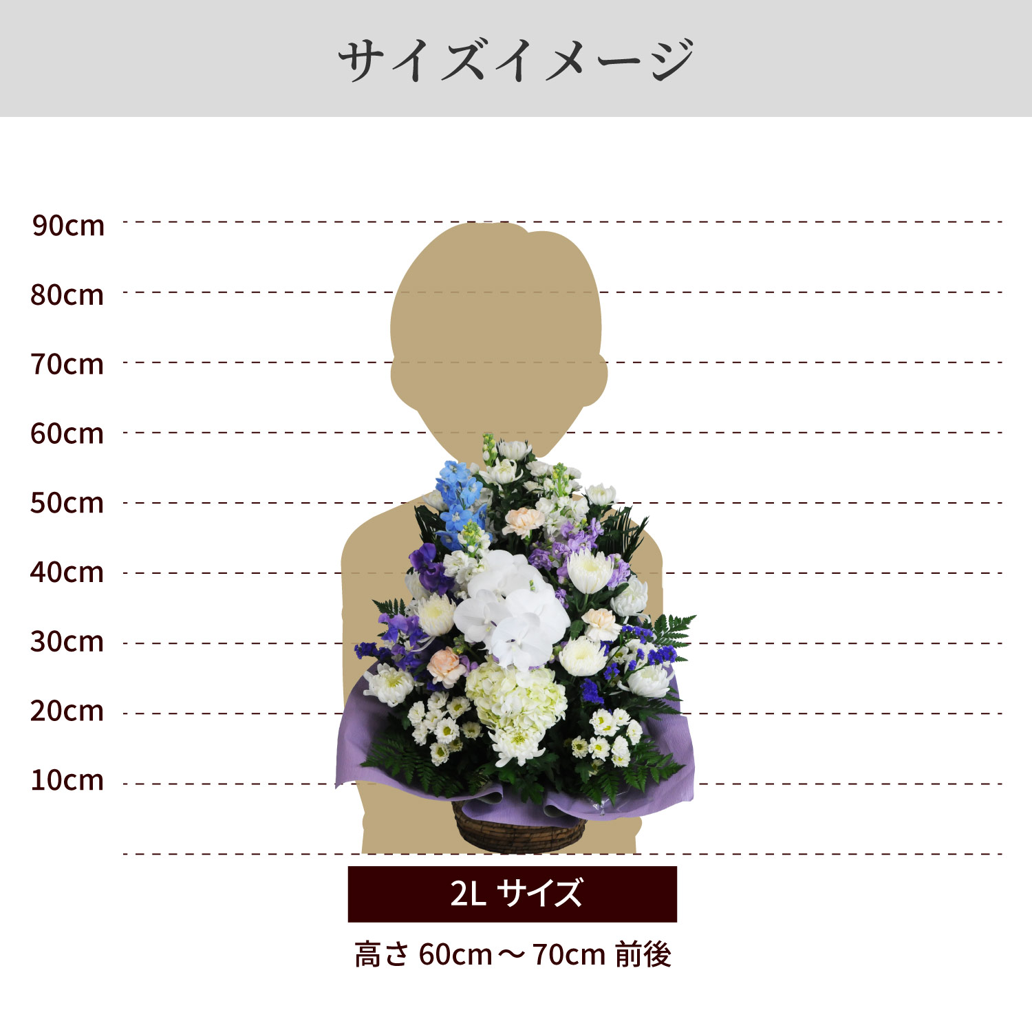 サイズイメージ