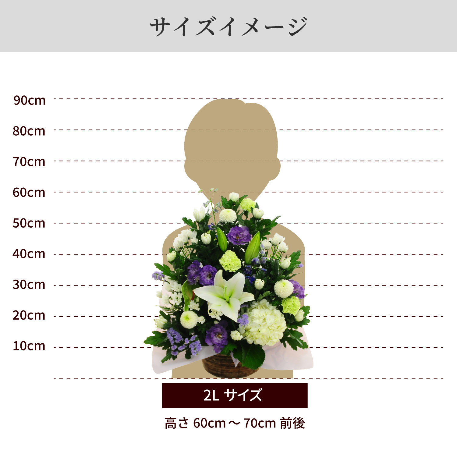 サイズイメージ