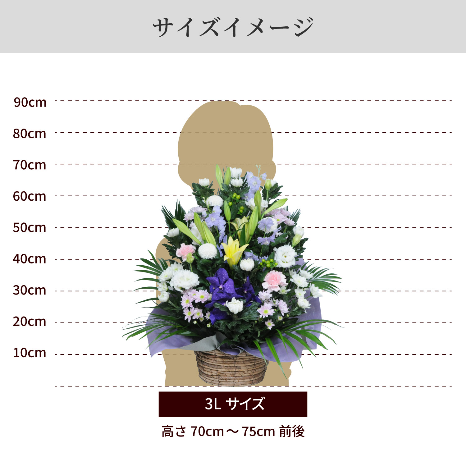 サイズイメージ