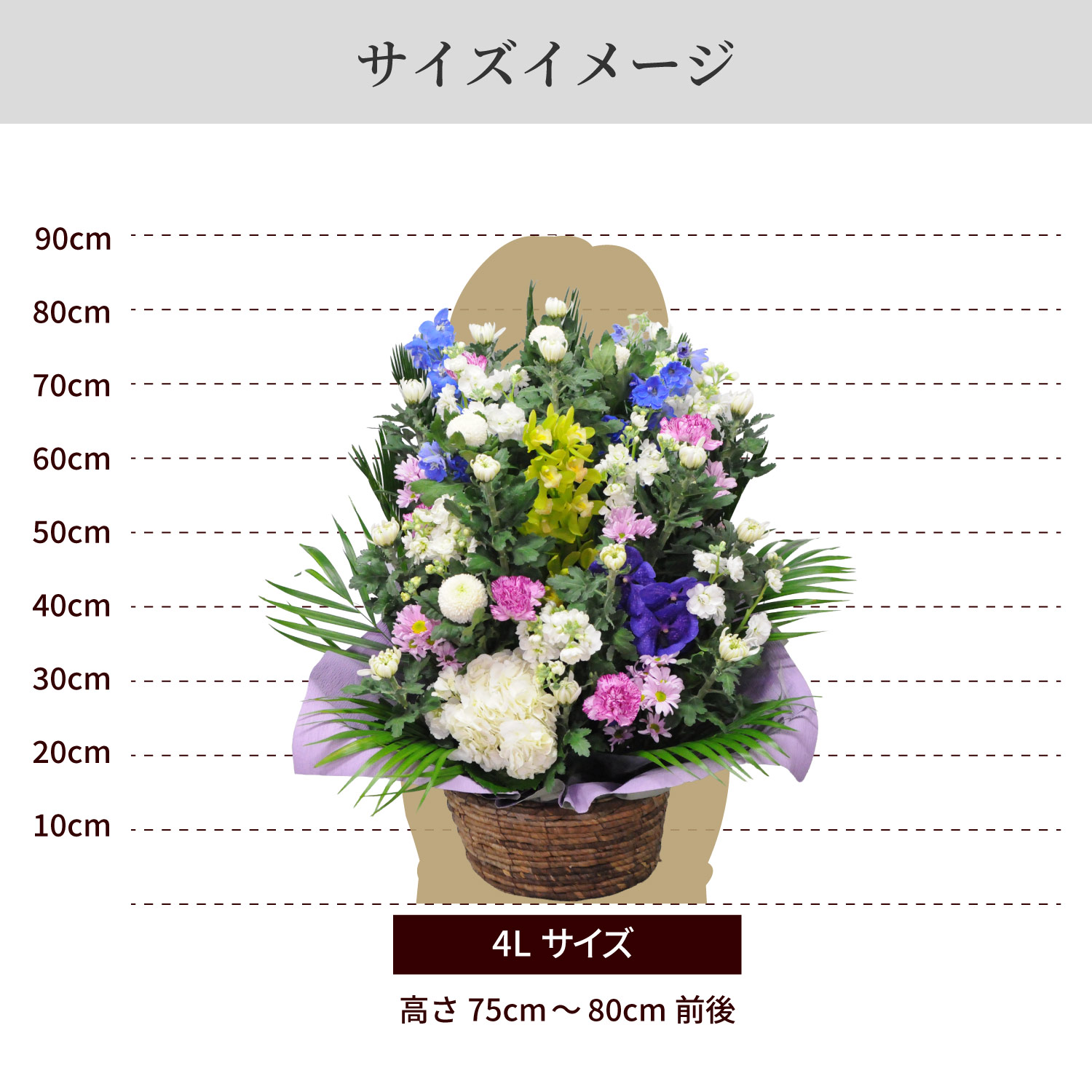 サイズイメージ