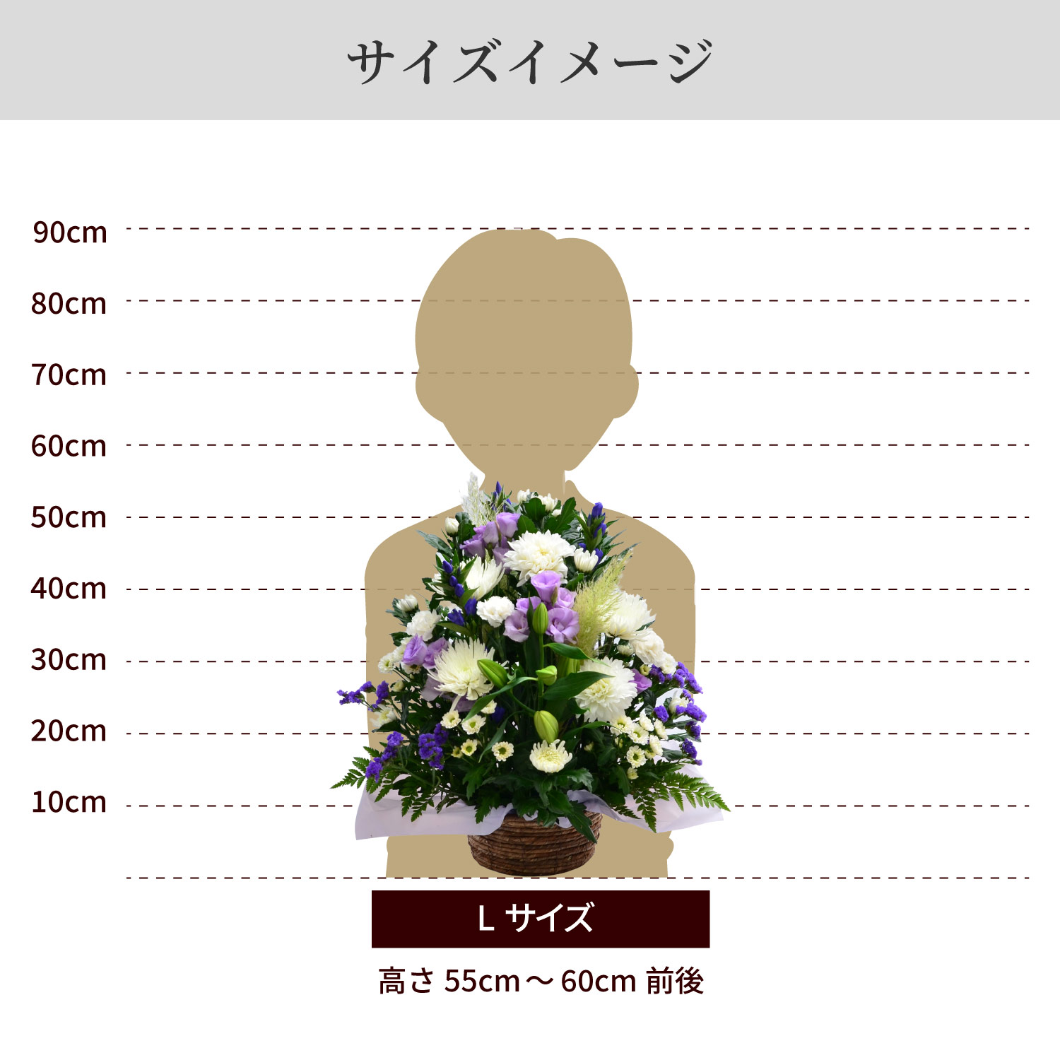 サイズイメージ
